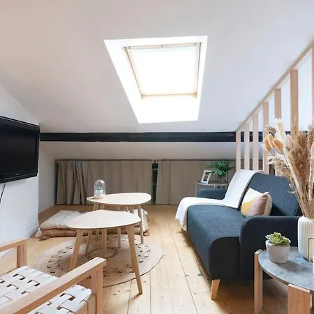 Apartment Le Cosy Du Pont Mouja Nancy