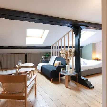 Le Cosy Du Pont Mouja Apartment Nancy