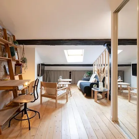 Le Cosy Du Pont Mouja Apartment Nancy
