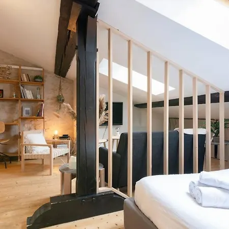 Apartment Le Cosy Du Pont Mouja Nancy