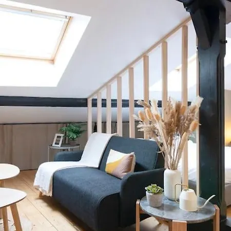 Apartment Le Cosy Du Pont Mouja Nancy